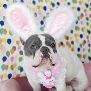 Easter Bunny headband for dog or cat /Bunny dog hat / Bunny dogs costume/ image 4