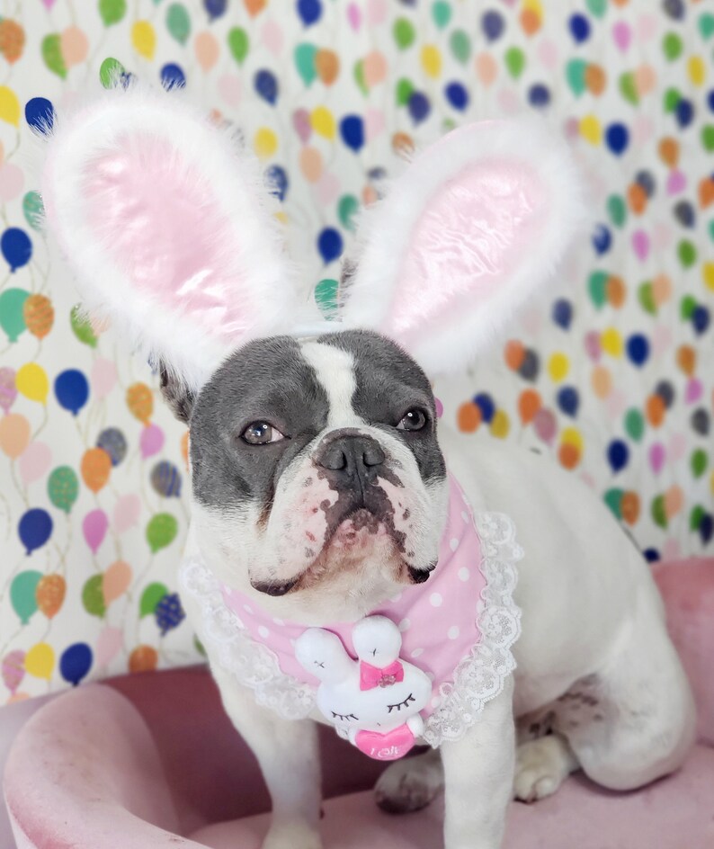 Easter Bunny headband for dog or cat /Bunny dog hat / Bunny dogs costume/ image 4