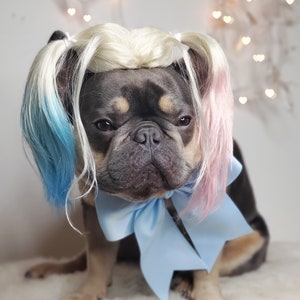 Harley quinn dog wig with Pony tails /Cute pet wig for dog or cat / Halloween pet wig / Costume dog wig /Dog costume / image 8