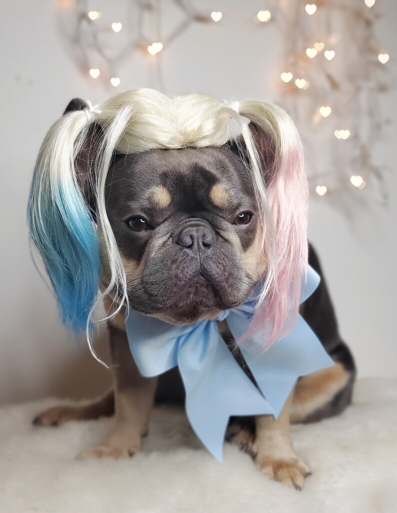 Harley quinn dog wig with Pony tails /Cute pet wig for dog or cat / Halloween pet wig / Costume dog wig /Dog costume / image 8