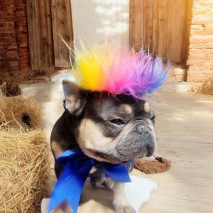 Dog costume/ Mohawk for dogs /Mohawk for your pet / Halloween dog costume /Cat Mohawk /
