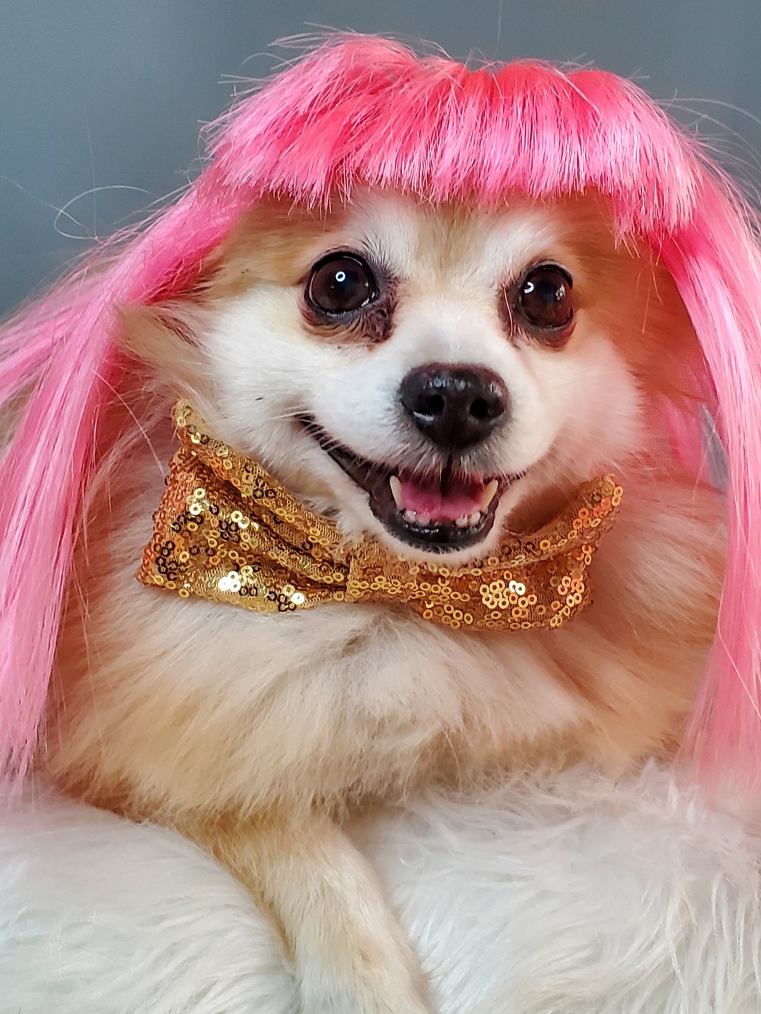 Pink Pet Wig With Bow Tie: Handmade Dog/cat Costume