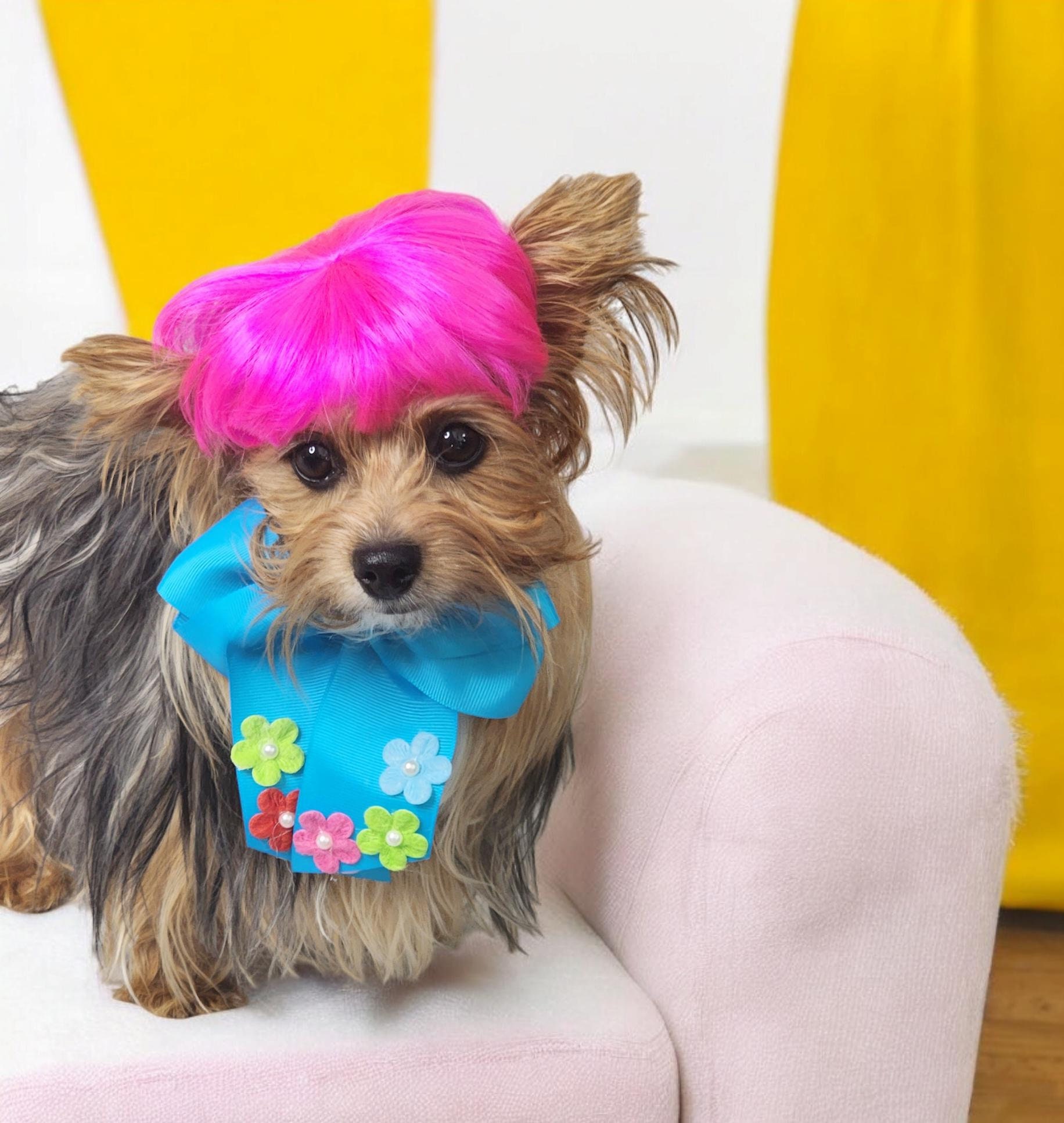 Pet   wig hot pink   color   for dog or cat / wig for pet /Halloween pet wig / Costume wig for dogs /Dog costume /