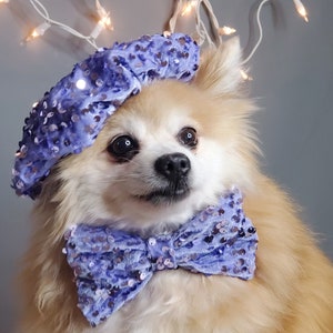 Set listing /Beret  hat   for dog or cat /Hat for dogs/Beret for dogs /