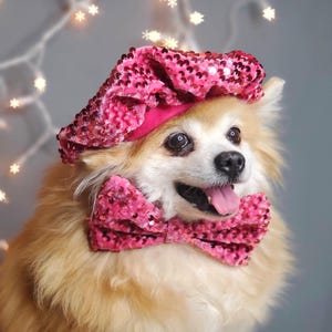 Set listing /Beret  hat   for dog or cat /Hat for dogs/Beret for dogs /Halloween costume for dogs /