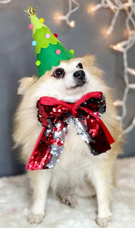 PYSEOSISE Deguisement De Noël Pour Chien Chat, 4 Pièces Bonnet Et