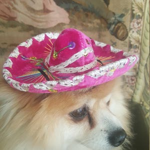 Cute sombrero hat for dog or cat image 5