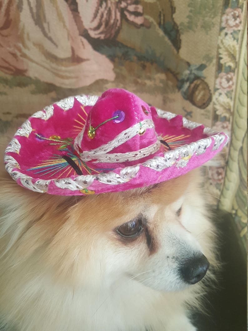 Cute sombrero hat for dog or cat image 5