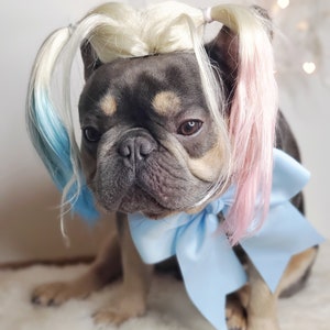 Harley quinn dog wig with Pony tails /Cute pet wig for dog or cat / Halloween pet wig / Costume dog wig /Dog costume / image 4