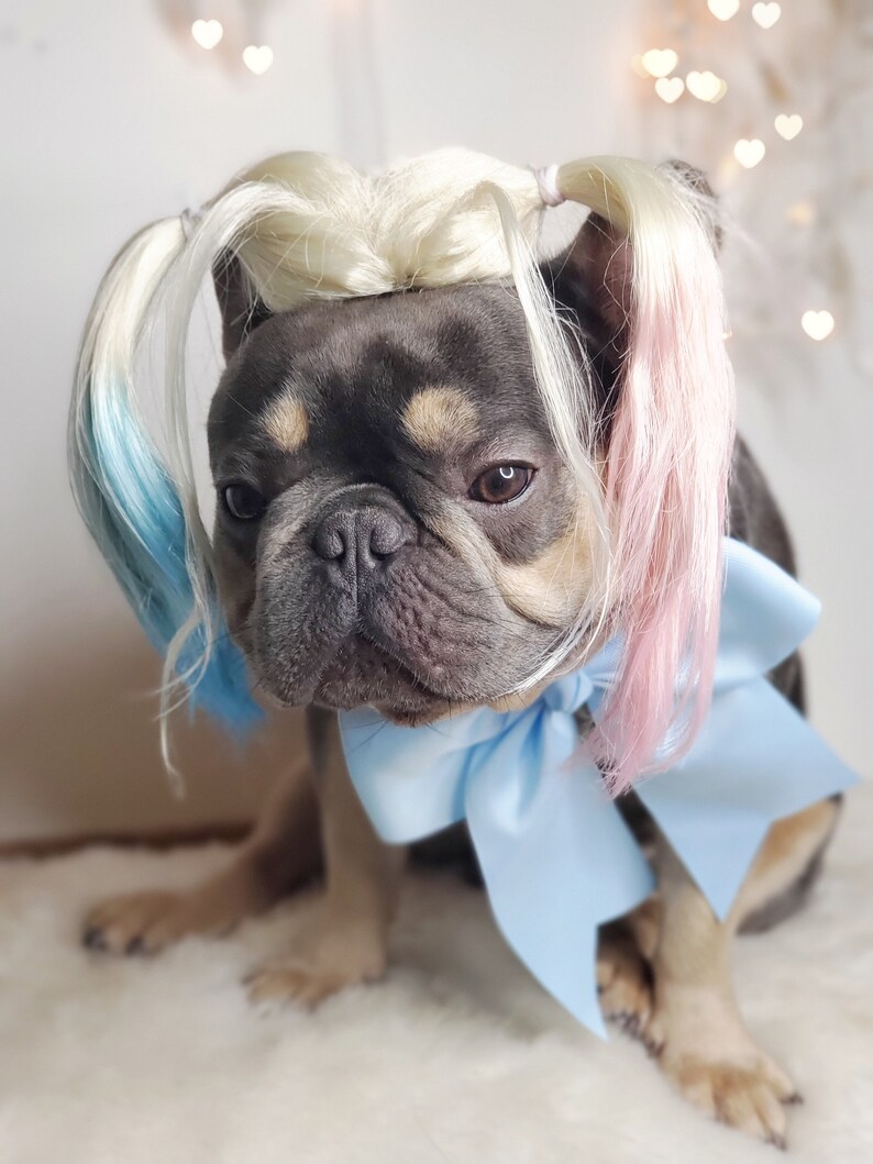 Harley quinn dog wig with Pony tails /Cute pet wig for dog or cat / Halloween pet wig / Costume dog wig /Dog costume / image 4