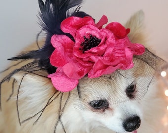 Cute   hat with   feather and   flower for dog or cat