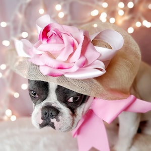 Elegant hat with  bow and   flower for dog or cat /Hat for small pet /Costume for dogs/