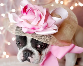 Elegant hat with  bow and   flower for dog or cat /Hat for small pet /Costume for dogs/