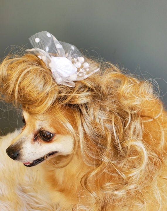 Pet Marie Antoinette blond color wig for dog or cat