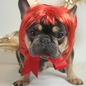May include: A French Bulldog wearing a bright red wig and a matching red bow. The dog has a black and tan coat and is looking directly at the camera. The background is a soft white with a blurred decorative element.