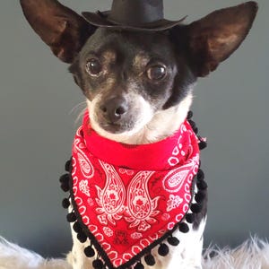 Setlisting Leuke zwarte cowboyhoed en sjaalset voor hond of kat