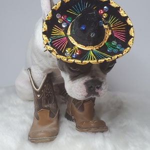 Chapeau sombrero mignon pour chien ou chat /Sombrero de chien dHalloween/ Sombrero de costume pour animaux de compagnie/ image 5