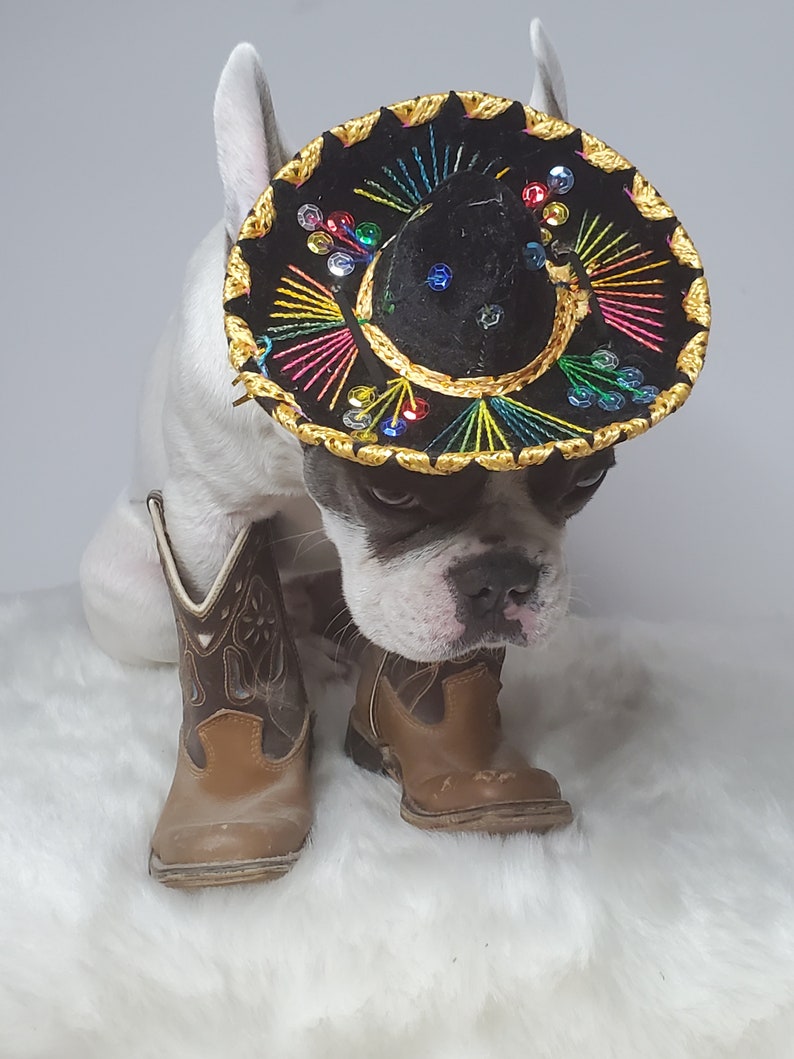 Chapeau sombrero mignon pour chien ou chat /Sombrero de chien dHalloween/ Sombrero de costume pour animaux de compagnie/ image 5