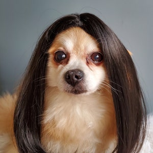 Cute pet wig black color dog or cat/Halloween dog wig/Costume dog wig /Dog costume / Cat costume / image 4