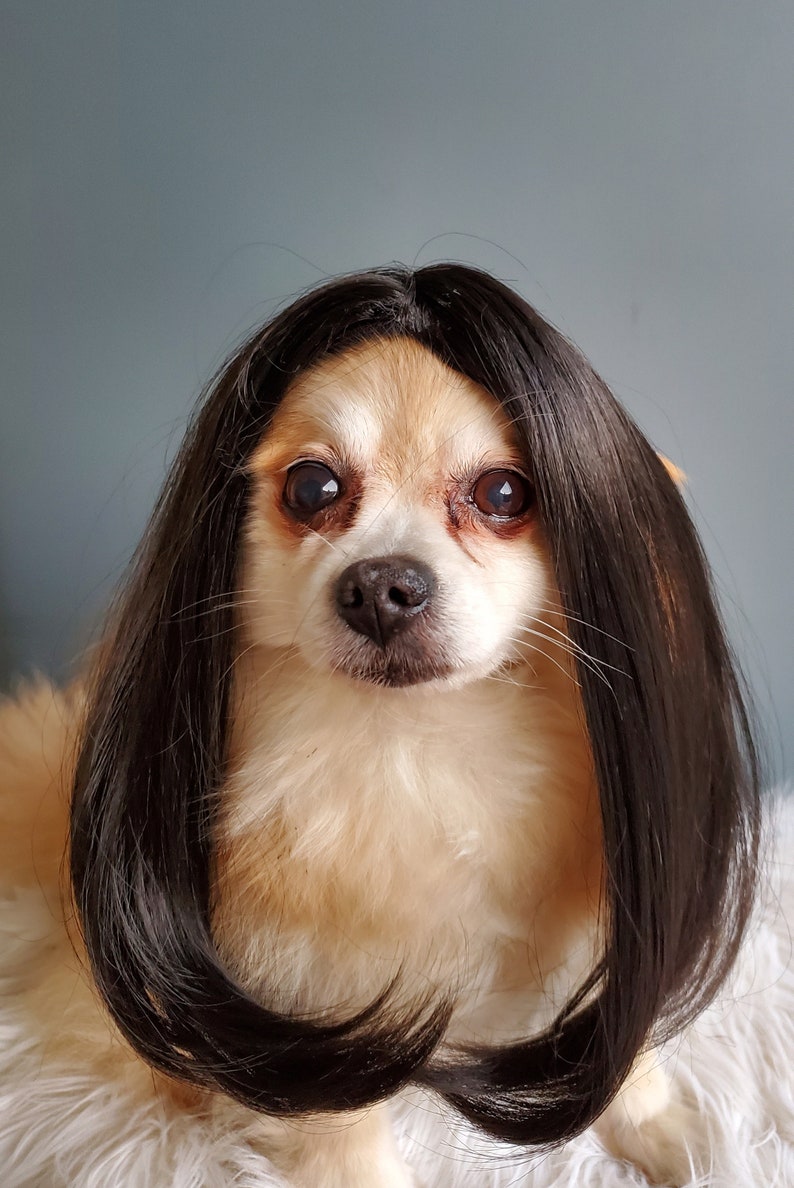 Cute pet wig black color dog or cat/Halloween dog wig/Costume dog wig /Dog costume / Cat costume / image 4