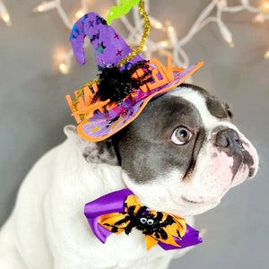 Witch hat for dog/ Black color Halloween hat with bow tie/Dog costume/Halloween costume/Cat Halloween costume/Dog costume image 2