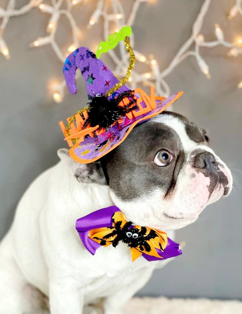 Witch hat for dog/ Black color Halloween hat with bow tie/Dog costume/Halloween costume/Cat Halloween costume/Dog costume image 2