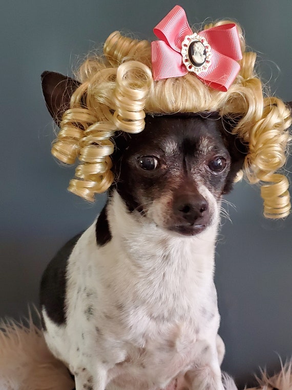 Pet Marie Antoinette blond color wig for dog or cat