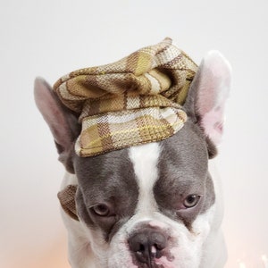 Dog Cap and Bow Tie Set, Pet Outfit image 5