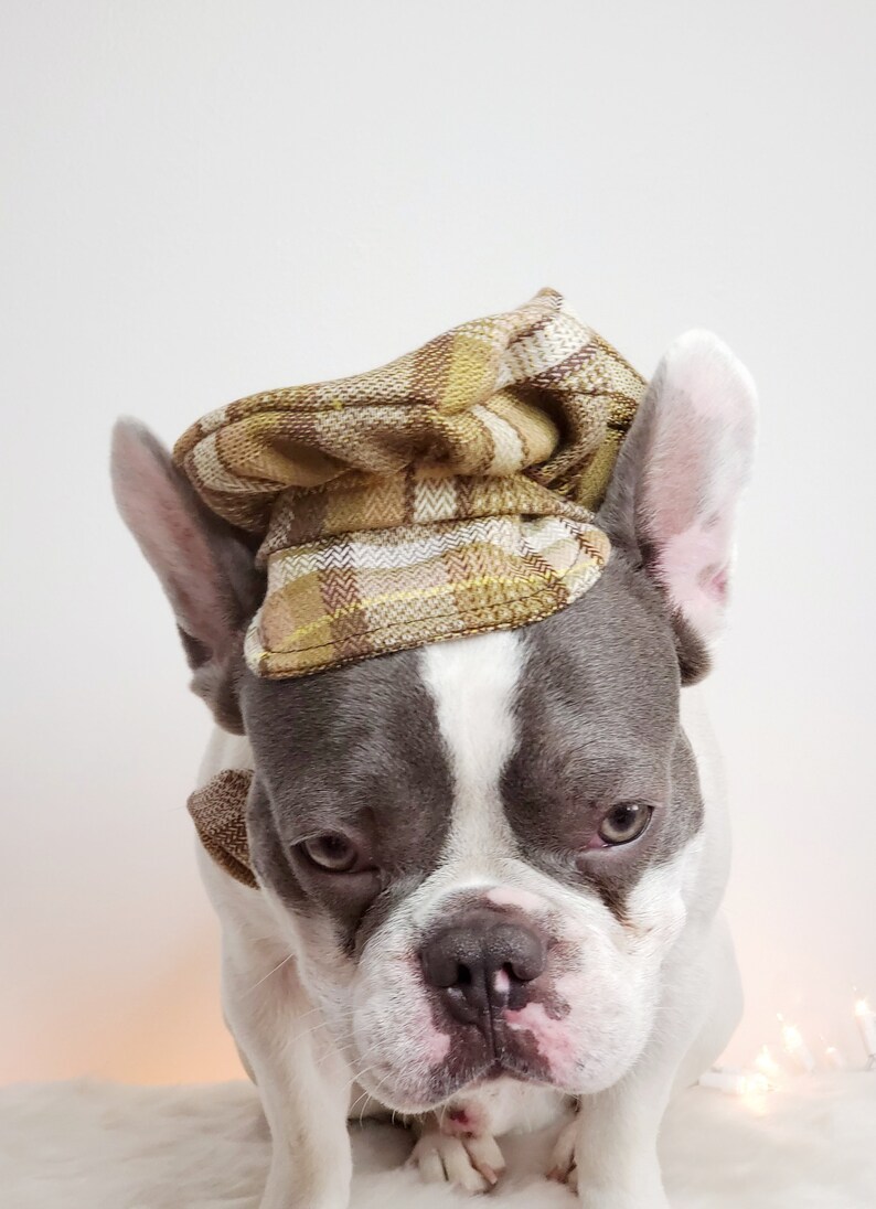 Dog Cap and Bow Tie Set, Pet Outfit image 5