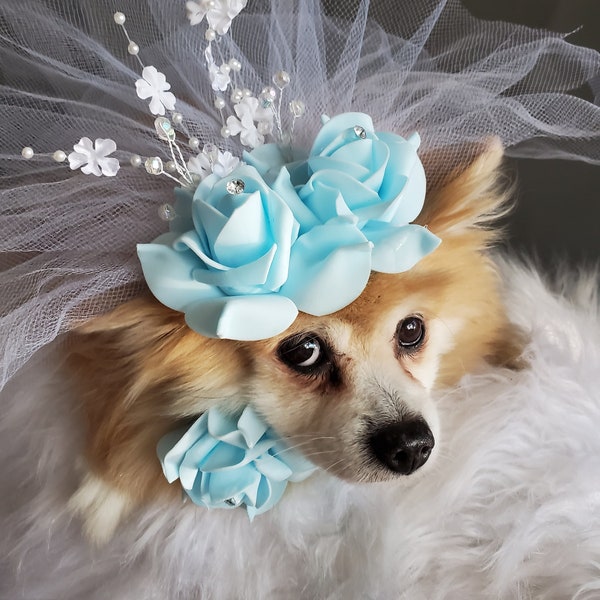 Veil for pets/Cute bridal  veil  white color with blue color flowers  and  neck tie  with blue flower