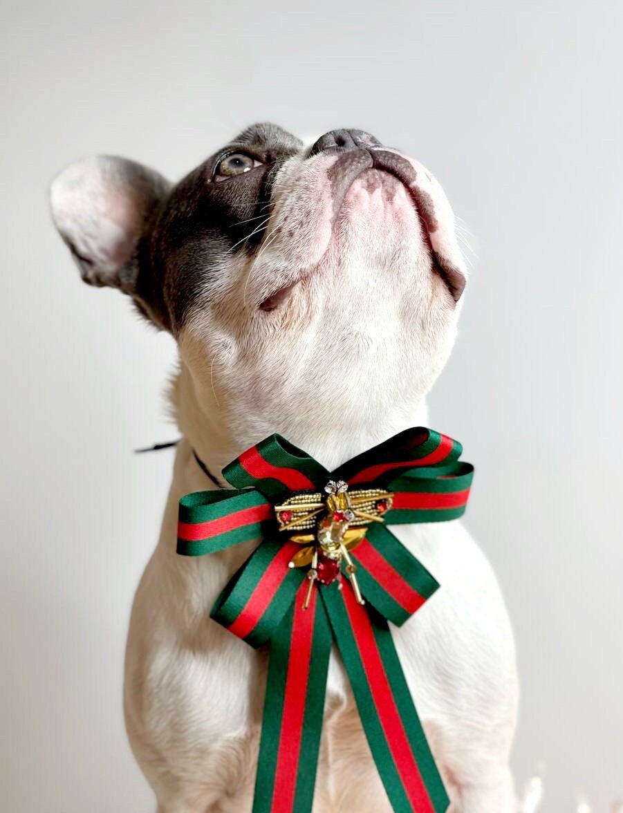 French Bulldog Gucci Dog Bow Bow Tie Collar For Dogs And Leash Set