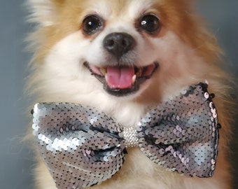 Bow tie  // Dog Halloween Bow //  Dog Neck Tie || Pet Bow Tie || Dog Clothes