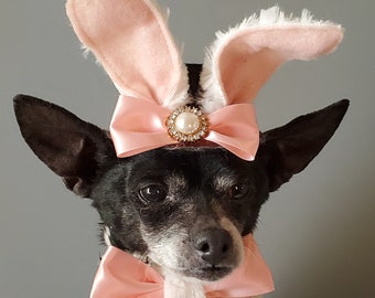 Easter Bunny hat  and bow set for dog or cat