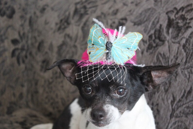 Cute black color mini hat with feather and butterfly