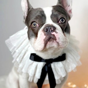 Cute   white color neck  tie with black color bow for dog or cat