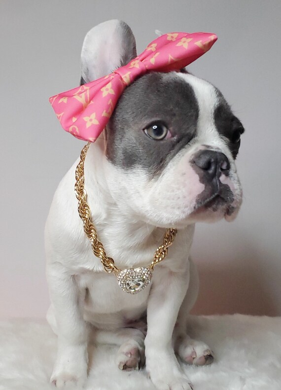 Supper Cute Dog Neck Chain Gold Color/ Jewelry for Pet 