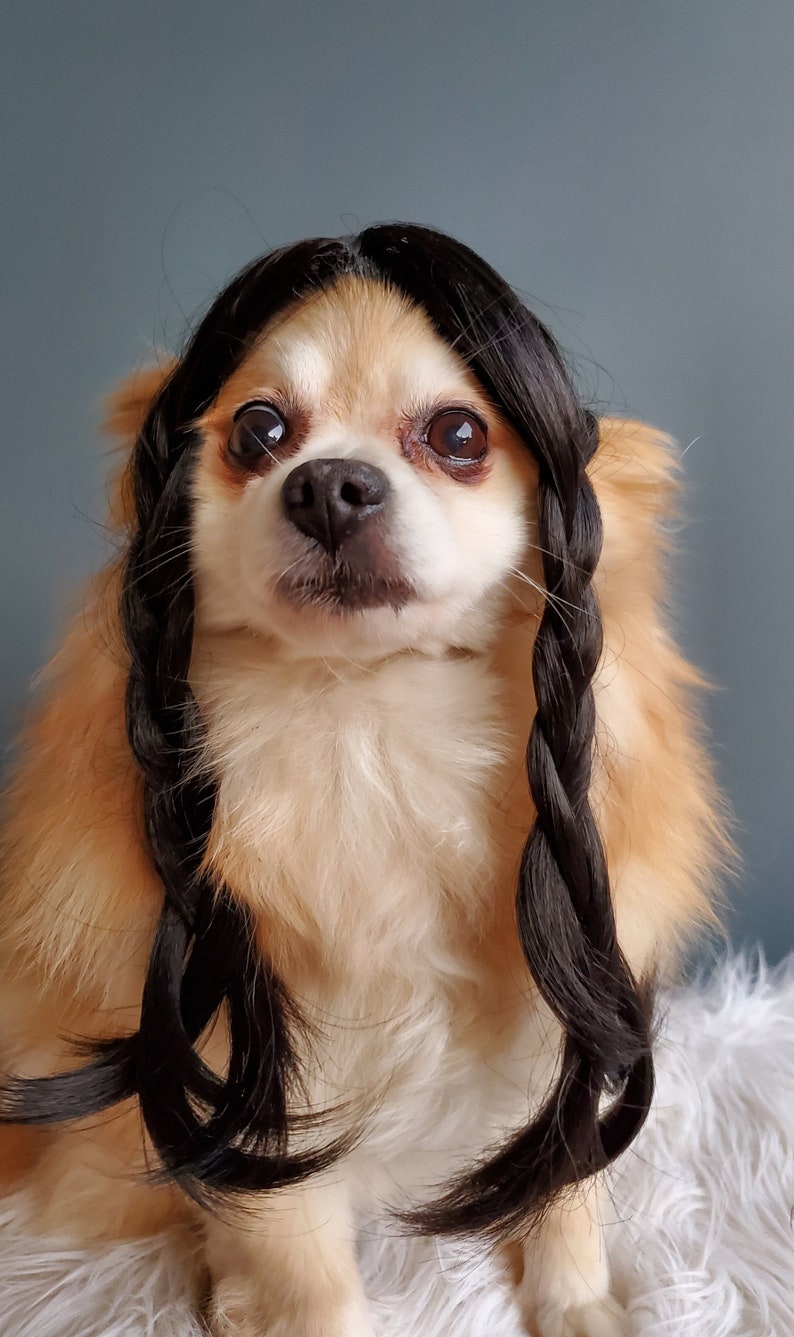 Cute Pet Braided Wig Black Color for Dog or Cat /halloween Dog - Etsy