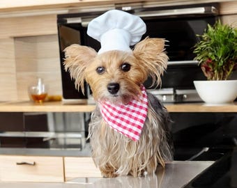 Pet Chef Hat – Dog or Cat Costume