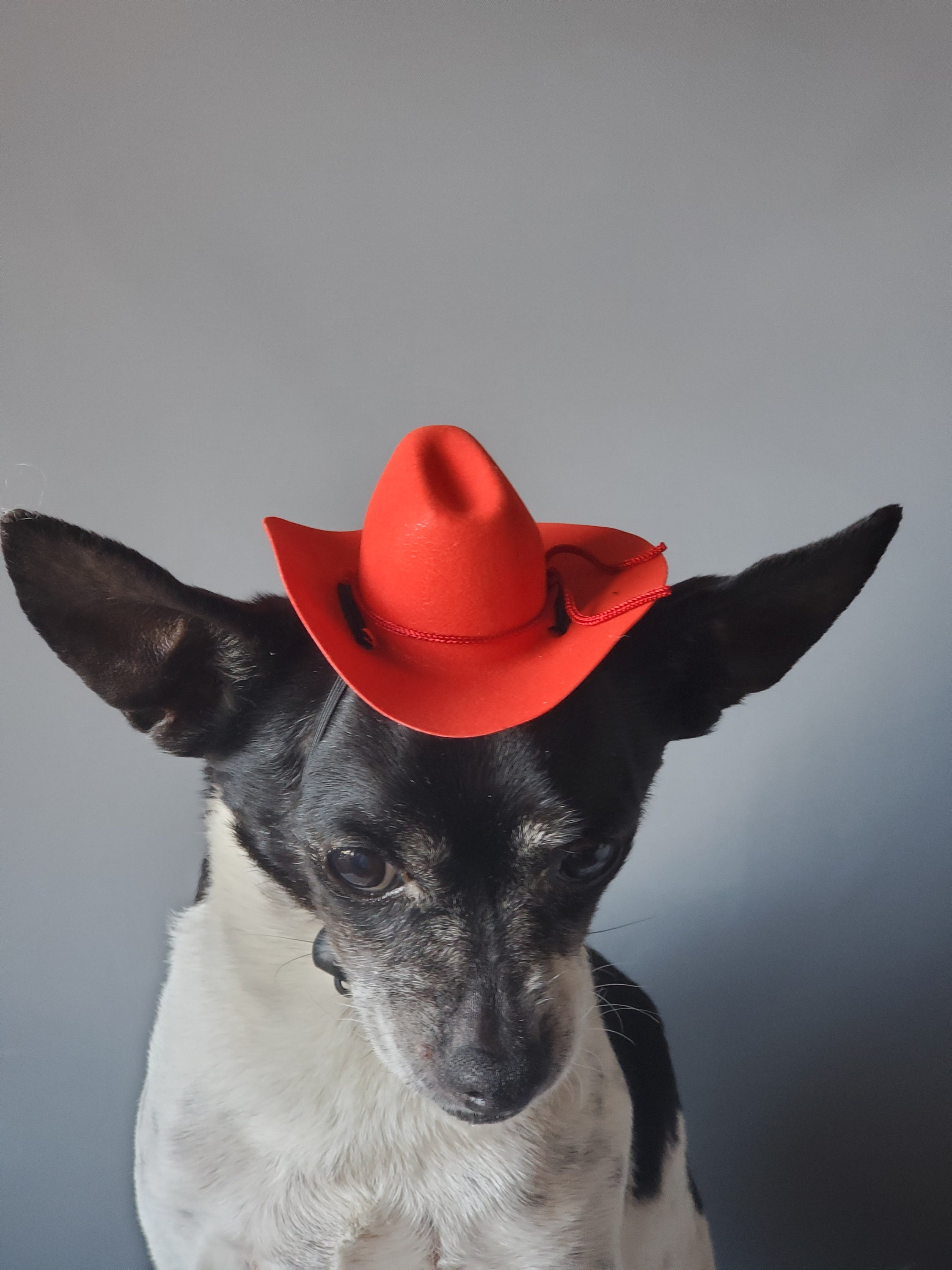 Cowboy Mini Hat Red Color for Dog or 