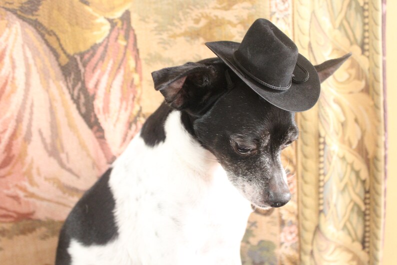 Cowboy hat for dog or cat black color /Small animals hat/Halloween dog hat /Cowboy dogs hat/ image 3
