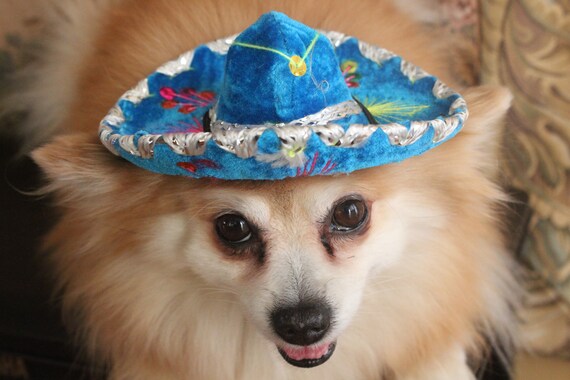 Cute sombrero hat for dog or cat