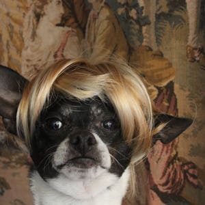 Pet blond wig for dog or cat /Halloween dog costume / Dog costume / Cat costume / image 2