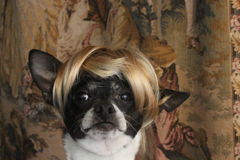 Pet blond wig for dog or cat /Halloween dog costume / Dog costume / Cat costume / image 2