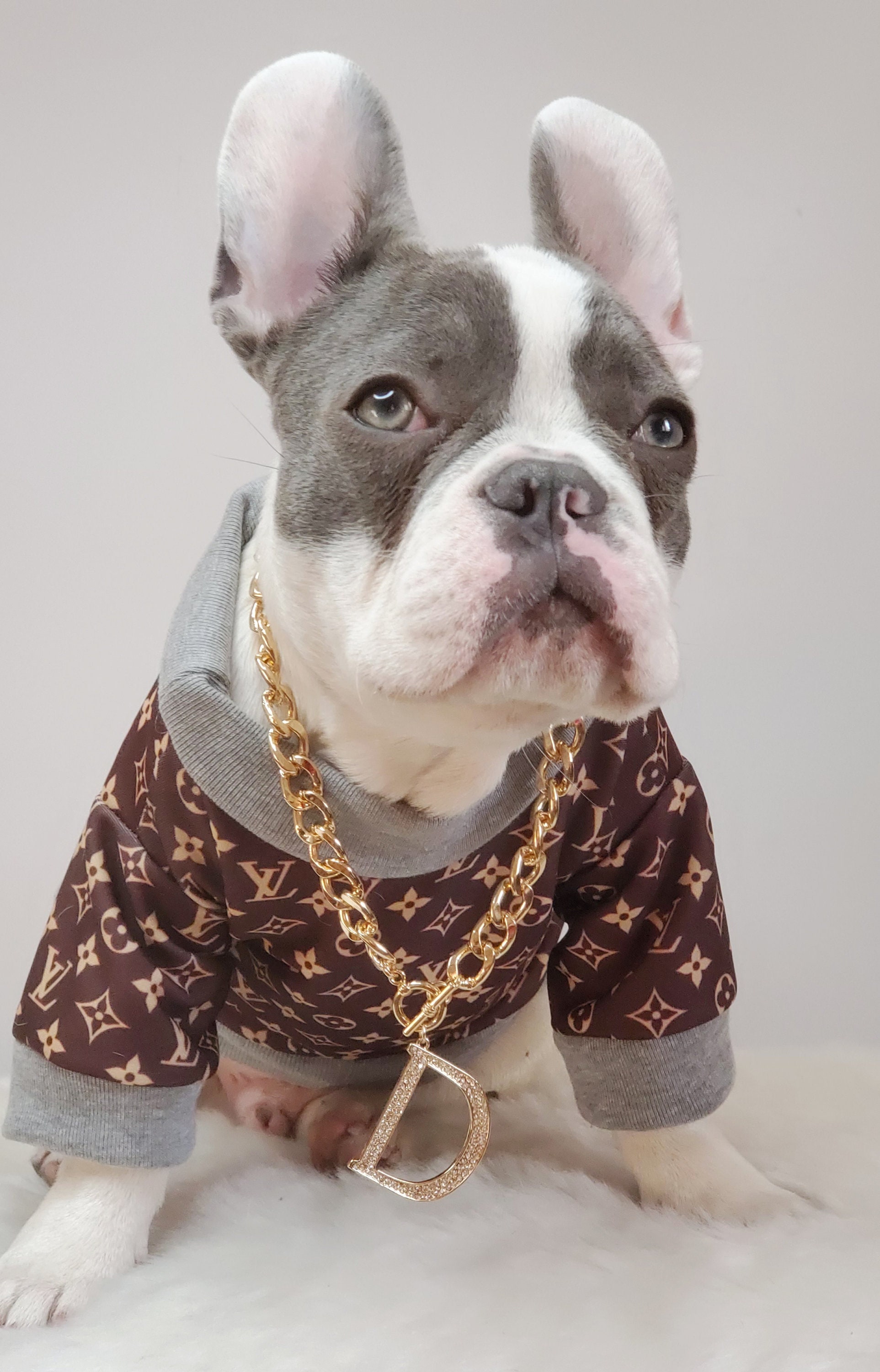 louis vuitton custom pet name collar frenchie dog