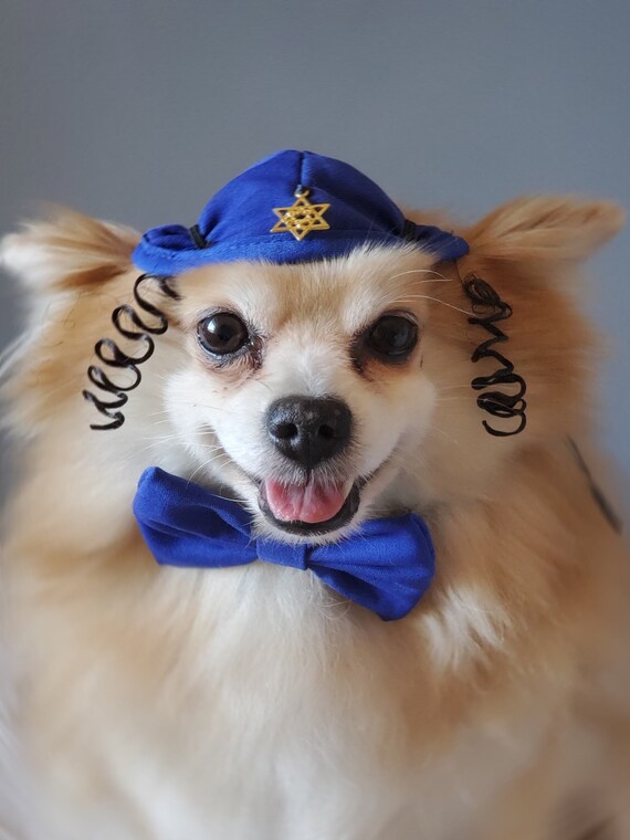 Chapeau Décoratif Pour Chien Avec Nœud - Accessoire Mignon Pour Événements & Photos