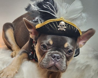 Pirate hat for dog or cat with feather/Halloween  costume/Pirate dog hat/Pirate pet costume /Pirate cat costume /Dog costume /