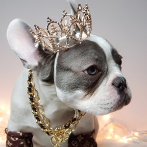 Silver color Crown for dog or cat /Princess dog crown / Crown for dog /Princess crown/ image 6