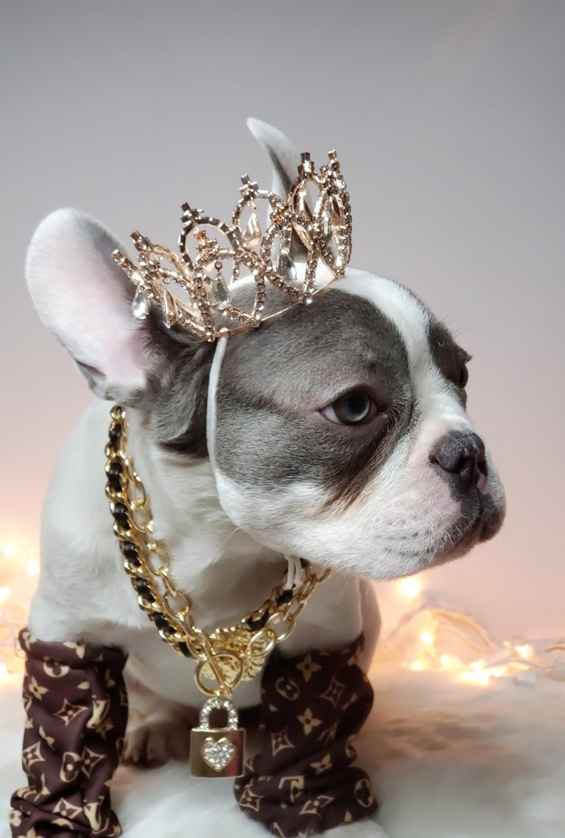 Silver color Crown for dog or cat /Princess dog crown / Crown for dog /Princess crown/ image 6