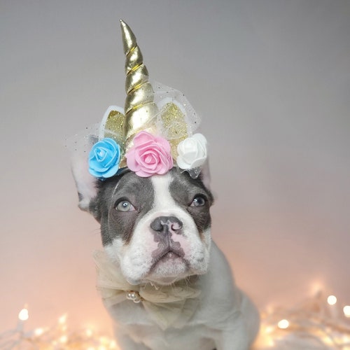 Pet Unicorn Hat for Dog or Cat/halloween Dog Costume/unicorn Etsy