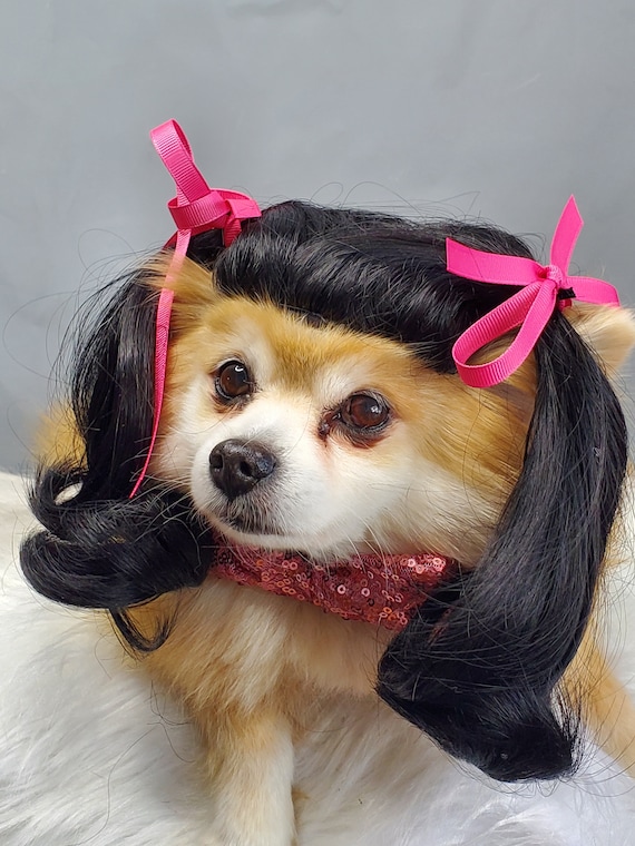 Set Protezione Coda Per Cani - Bende Elastiche E Rete, Per Medicazione - Foto 12